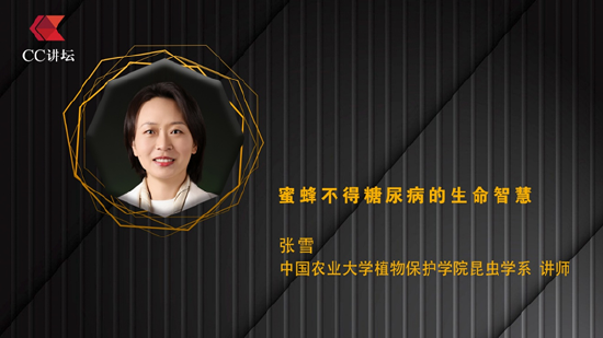 惠红网 张雪：蜜蜂不得糖尿病的生命智慧