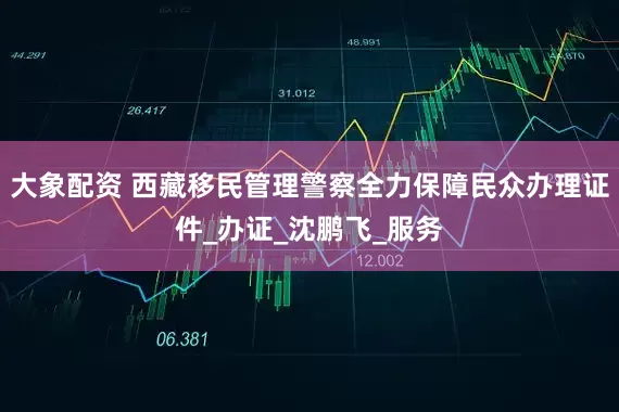 大象配资 西藏移民管理警察全力保障民众办理证件_办证_沈鹏飞_服务