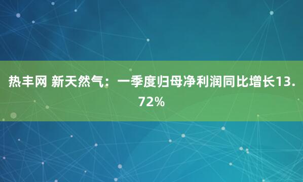 热丰网 新天然气：一季度归母净利润同比增长13.72%