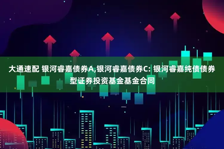 大通速配 银河睿嘉债券A,银河睿嘉债券C: 银河睿嘉纯债债券型证券投资基金基金合同