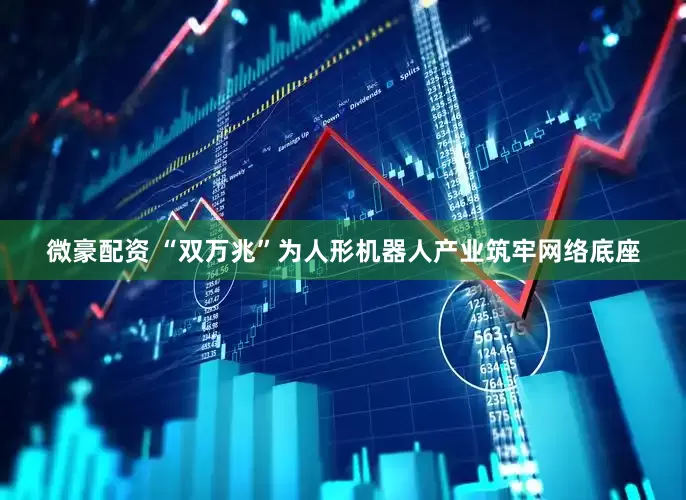 微豪配资 “双万兆”为人形机器人产业筑牢网络底座