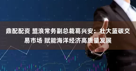 鼎配配资 盟浪常务副总裁葛兴安：壮大蓝碳交易市场 赋能海洋经济高质量发展